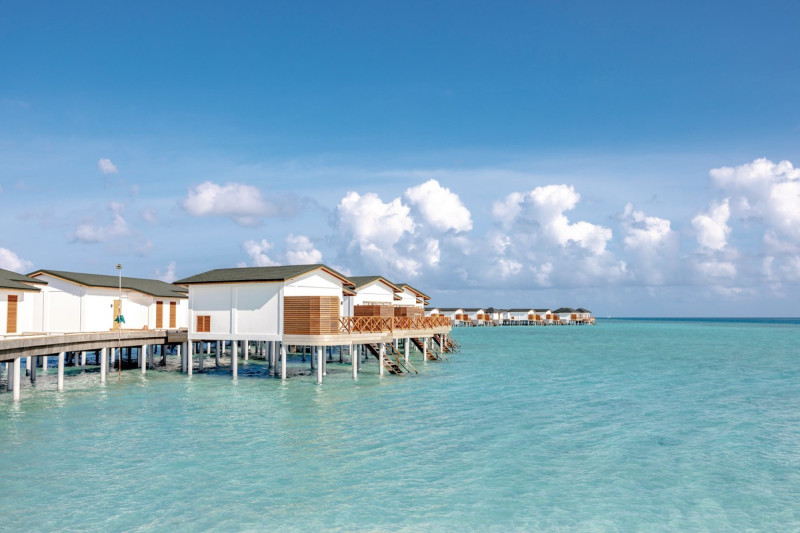 Joy Island ●●●●○