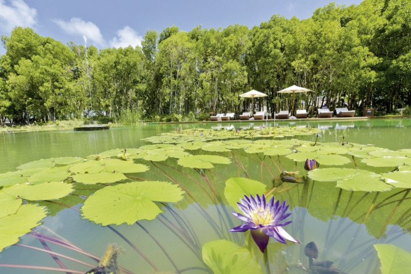 Dreamland The Unique Sea & Lake Resort & Spa ●●●●