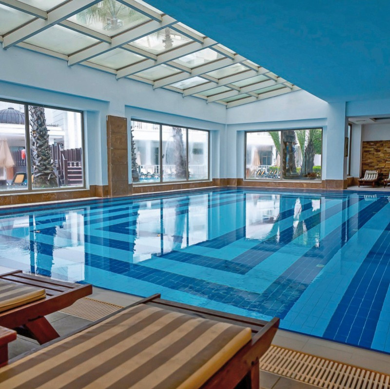 Alba Queen ●●●●●