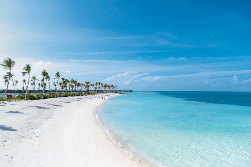 Joy Island ●●●●○