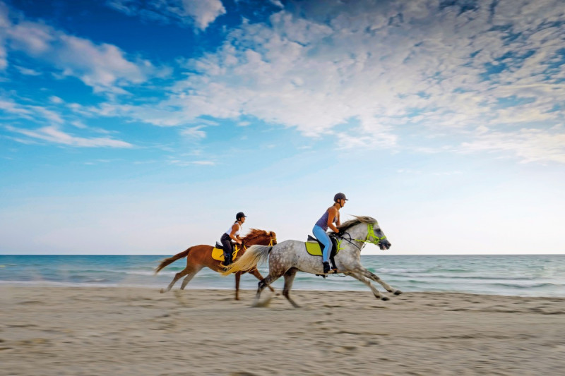 Aldiana Club Djerba Atlantide ●●●●