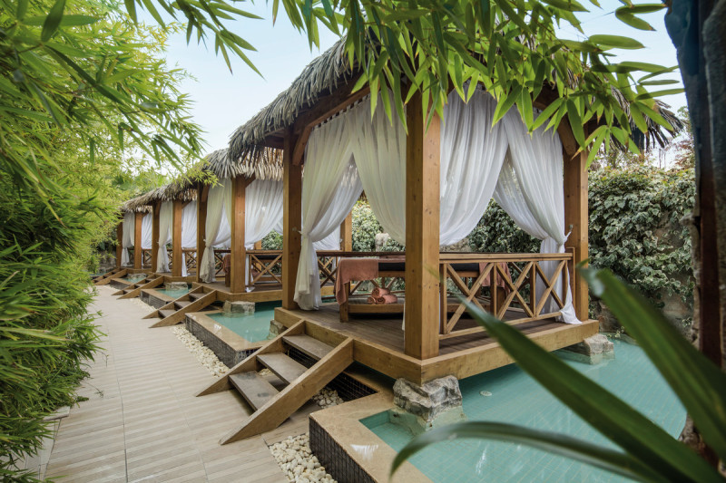 Trendy Verbena Beach