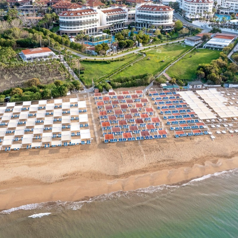 Alba Queen ●●●●●