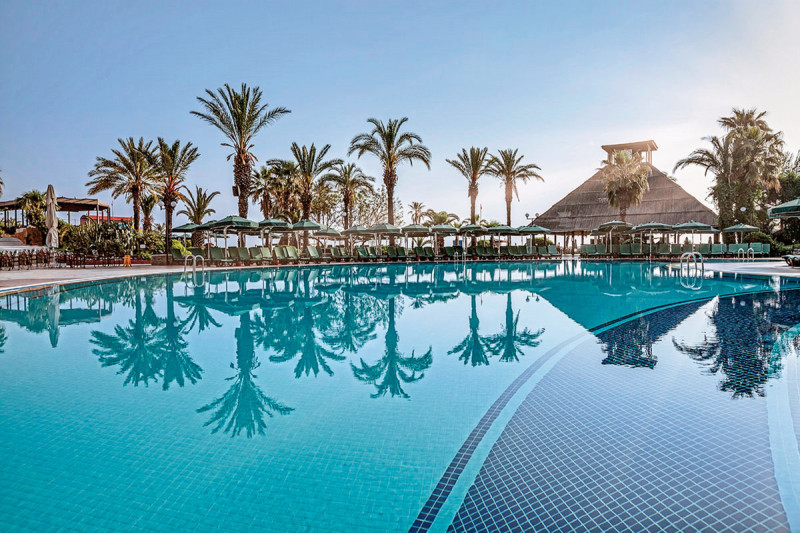 Gypsophila Club Marine