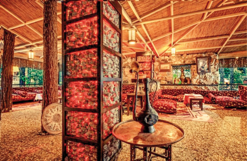 Gypsophila Club Marine