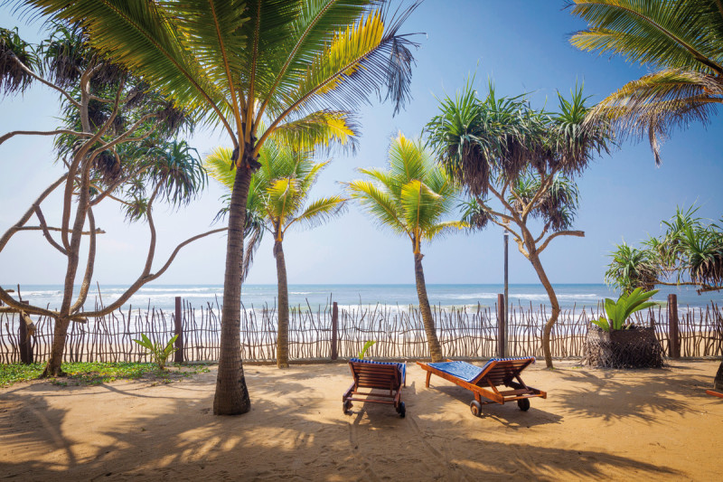 Siddhalepa Ayurveda Health Resort