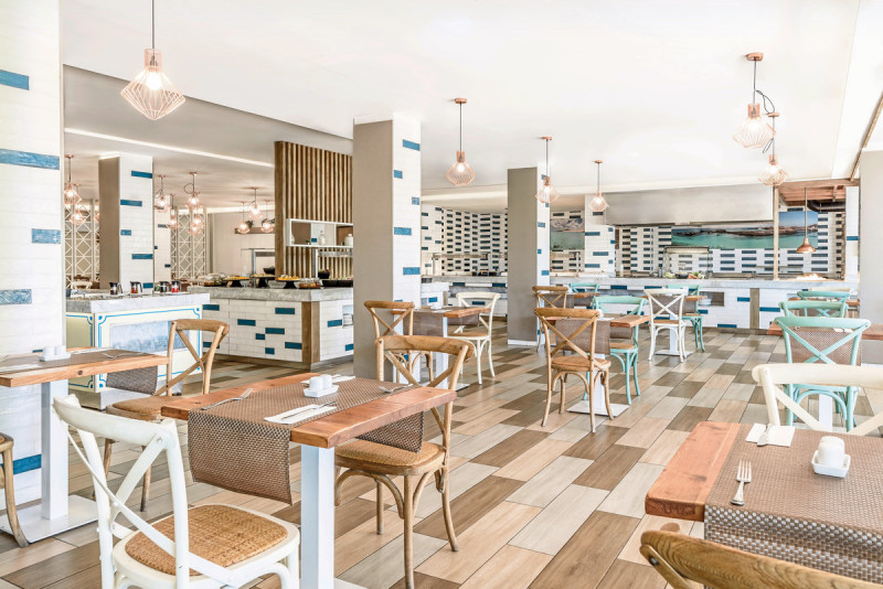 FERGUS Cactus Garden