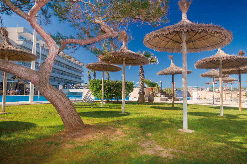 Eix Platja Daurada & Spa