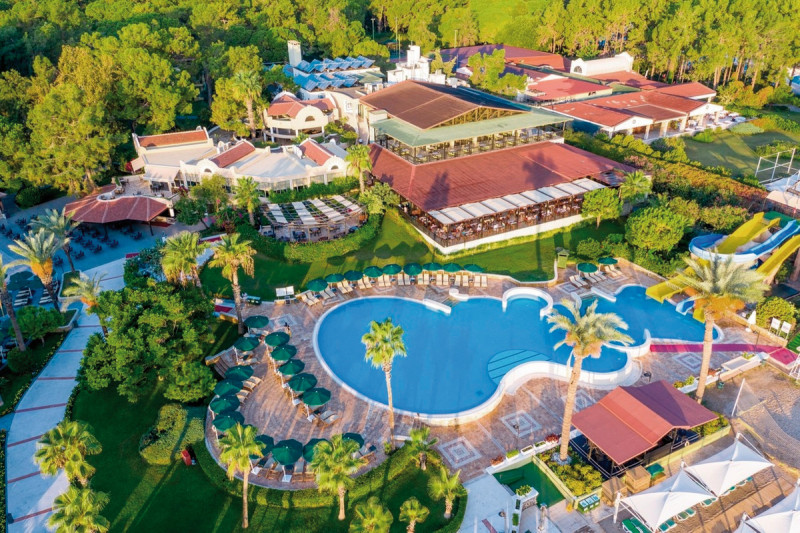 Gypsophila Club Marine