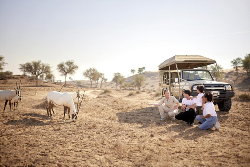 The Ritz-Carlton Ras Al Khaimah, Al Wadi Desert