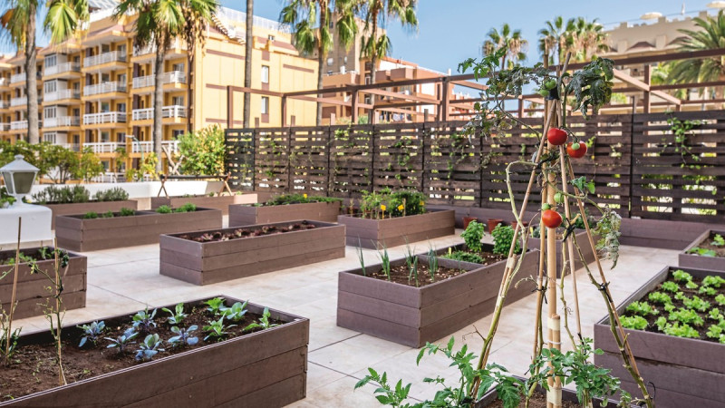 Be Live Adults Only Tenerife