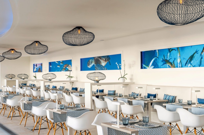 HOVIMA Cool Costa Adeje