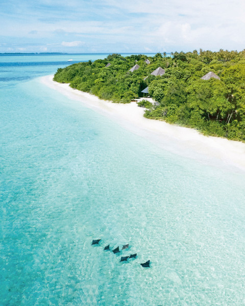 Hideaway Beach Resort & Spa