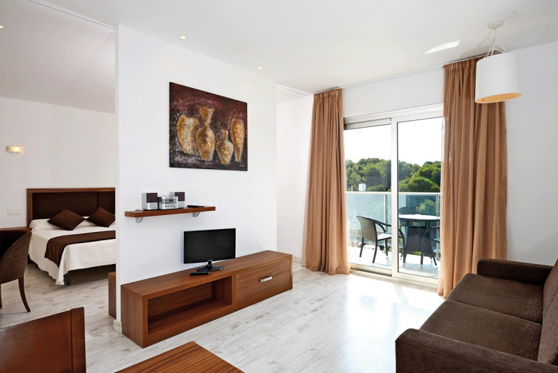 Wohnbeispiel Appartement 1 Schlafzimmer