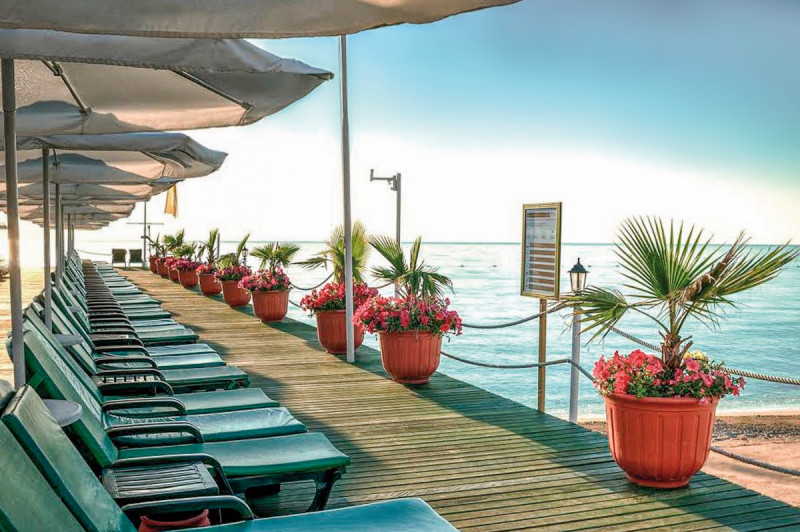 Gypsophila Club Marine