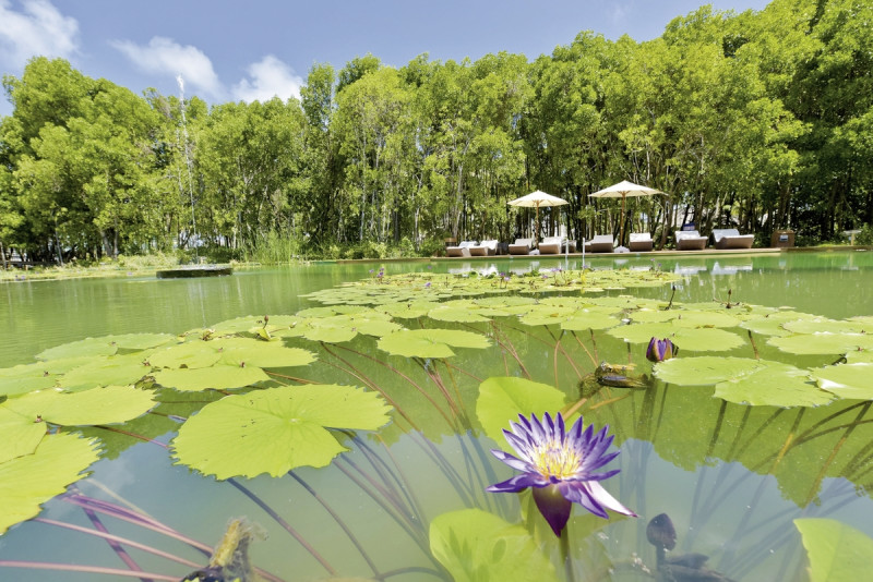 Dreamland The Unique Sea & Lake Resort & Spa