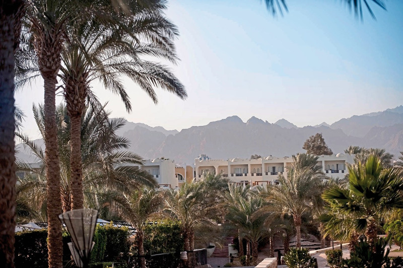 Reef Oasis Beach Resort