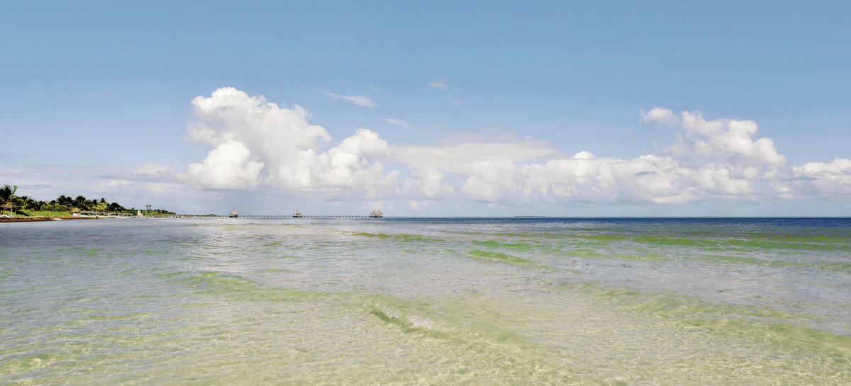 Iberostar Origin Daiquiri