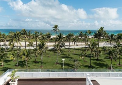 The Penguin in Miami Beach