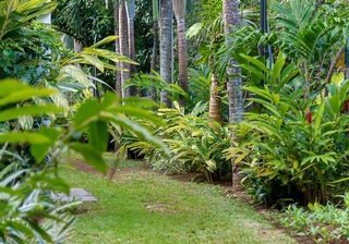 Mon Choisy Beach R. in Mont Choisy