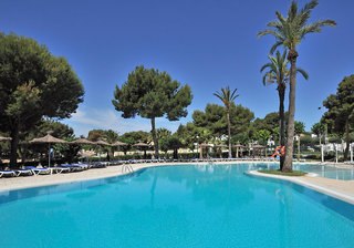 Globales Mediterrani in Cala Blanca