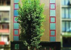 Golden Crown Hotel in Istanbul