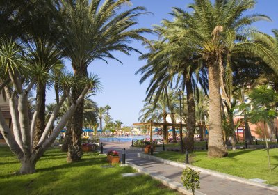 Grupotel Orquidea in San Bartolomé de Tirajana