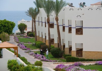 Amphoras Blu in Sharm el-Sheikh