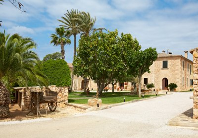 Es Puig de Ros d'Alt in Llucmajor