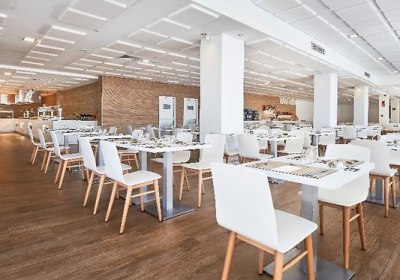 Globales Mimosa in Palma Nova