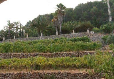 Son Borguny in Banyalbufar