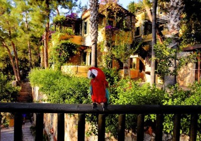 Symbola Oludeniz Beach in Ölüdeniz