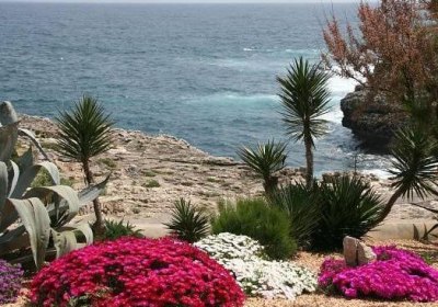 Parque Mar in Cala d'Or