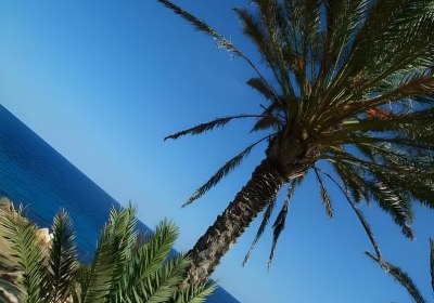 Hotel Club Palia Maria Eugenia in Calas de Mallorca