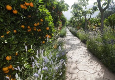 Ca's Curial in Port de Sóller