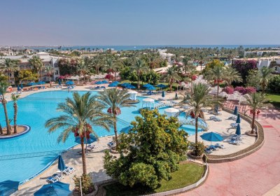 Desert Rose in Hurghada