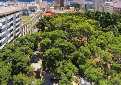 Principe Paz in Santa Cruz de Tenerife
