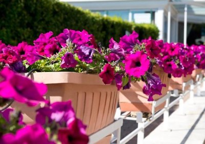 Park Hotel La Grave in Castellana Grotte