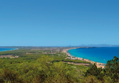 Dunas de Formentera in Es Arenals