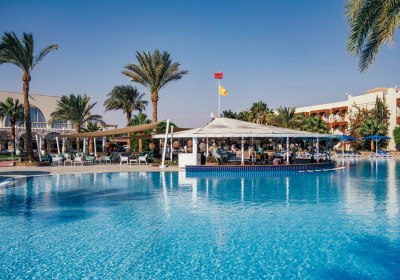Desert Rose in Hurghada