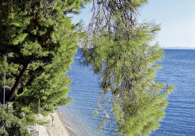 Virginia Hotel in Nikiti