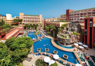 Best Jacaranda in Costa Adeje