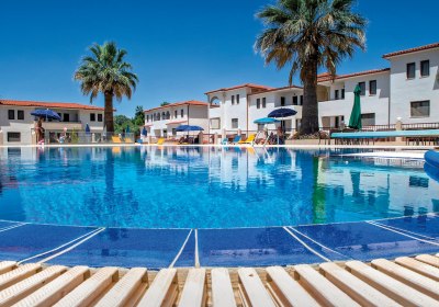 Amari in Metamorfosi