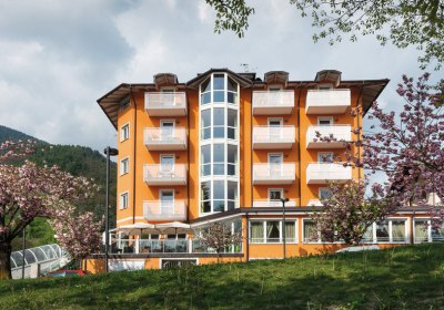 NatureBio Hotel Elite in Levico Terme