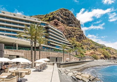 Saccharum in Calheta