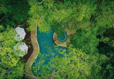 Bosque del mar in Playa Hermosa (Guanacaste)