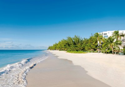 Bougainvillea Barbados in Christ Church