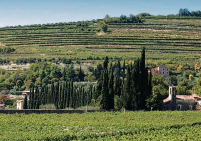 Villa Quaranta Tommasi Wine Hotel & Spa in Ospedaletto