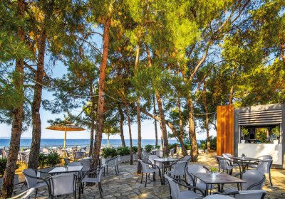 Blue Dolphin Hotel in Metamorfosi