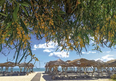 The Orangers Beach Resort & Bungalows in Hammamet